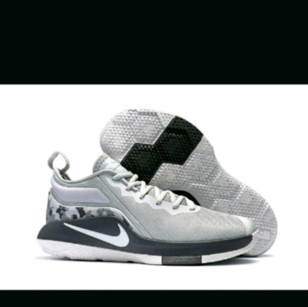 Lebran James sneakers